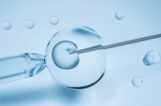 Infertility Treatment – Blastocyst Transfer